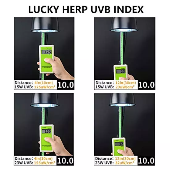 LUCKY HERP UVA UVB Reptile Light 10.0, Desert UVB 150 Compact Fluorescent Lamp 23W