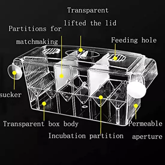 Tfwadmx Fish Breeding Box, Aquarium Breeder Box Fish Baby Hatchery Incubator Isolation with Artificial Plant