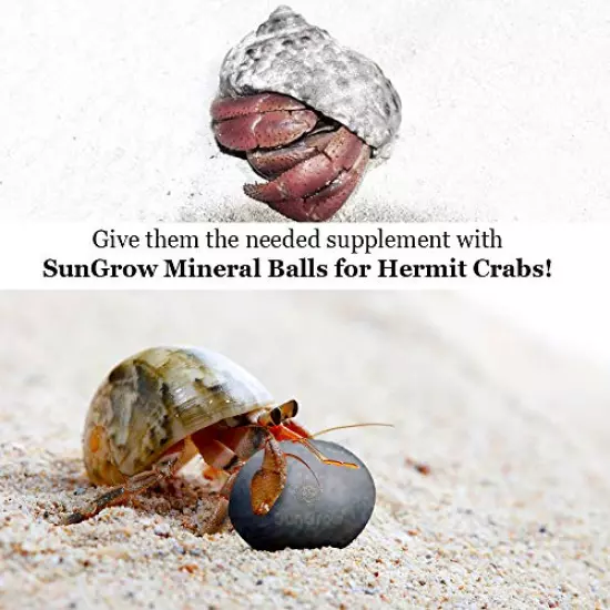 Sungrow 10 Hermit Crab, Crayfish Calcium Supplement Balls, Beneficial For Molting Pets, With Over 30 Beneficial Minerals