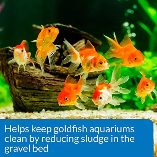 API Goldfish Products: Water Conditioner to Make tap Water Safe When Adding or Changing Water and When Adding New Fish, Aquarium Cleaner to use Weekly to Consume Sludge to Help Keep Gravel Clean