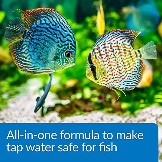 API Aqua Essential Water Conditioner, All-in-One Highly Concentrated Aquarium Formula, Instantly Removes Chlorines, Chloramines, Ammonia, Nitrites, Nitrates and Neutralizes Heavy Metal