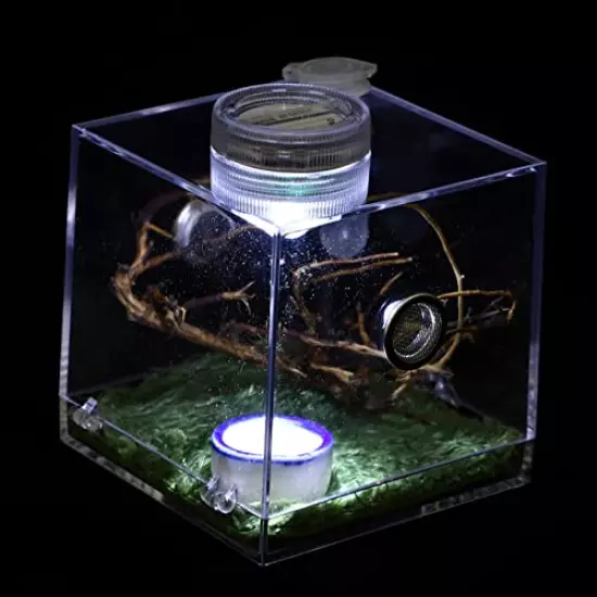 NUOBESTY Spider Habitat Box Jumping Spider House Transparent Tarantula Holder with Lamp Insect Hatching Container for Snail Spider Reptile Lizards Supplies