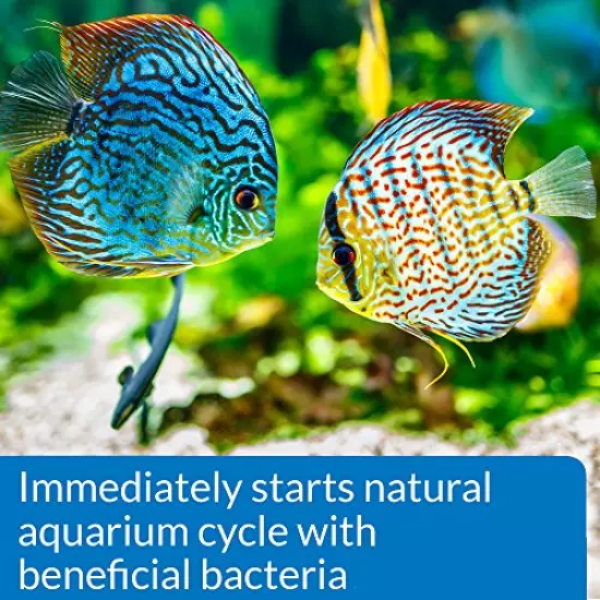 API Quick Start Nitrifying Bacteria, for Freshwater and Saltwater Aquarium