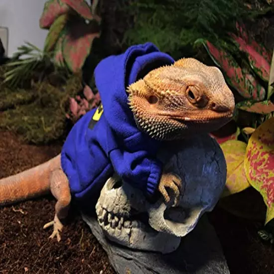 HAICHEN TEC Lizard Clothes for Bearded Dragons Reptile Apparel Handmade Cotton Material Hoodies Sweater T-Shirt for Skin Protection Photo Party for Lizard Bearded Dragon Crested Gecko Chameleon