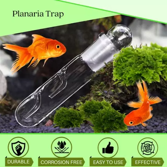 Planaria Trap for Crystal Red Shrimp Tank - Aquarium Bristle Worm Catcher, Cherry Shrimp Dwarf Shrimp Ghost Shrimp Live Freshwater Cleaning Supplies - Clear Glass Leeches Catching Tube