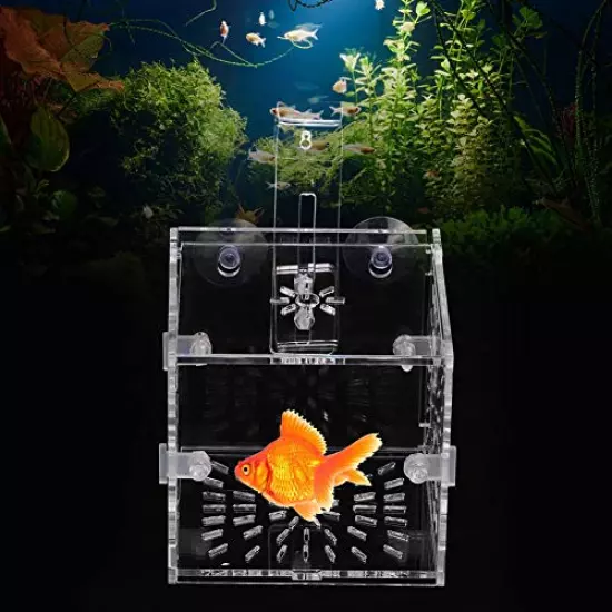 Aquarium Breeder Box, Acrylic Transparent Fish Breeding Box Tank Hatchery Incubator Aquarium Isolation Box