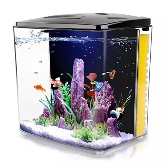 FREESEA 1.2 Gallon Betta Aquarium Fish Tank with LED Light and Filter Pump