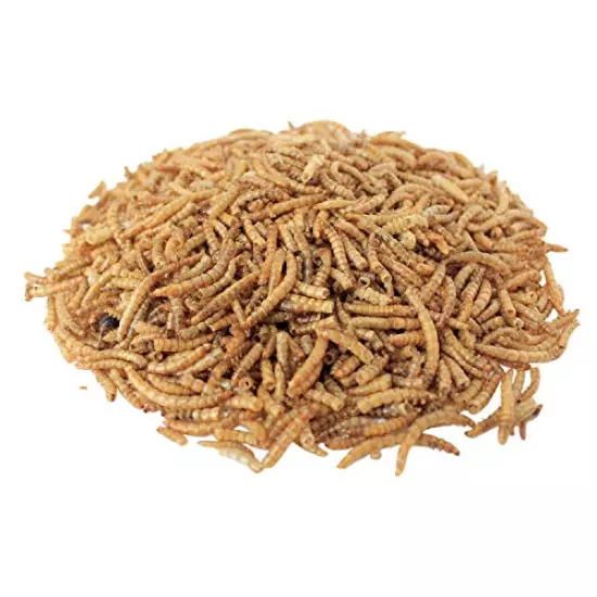 Downtown Pet Supply Dried Mealworms - Rich In Vitamin B12, B5, Protein, Fiber And Omega 3 Fatty Acids - Chicken, Duck And Bird Food - Reptile And Turtle Food