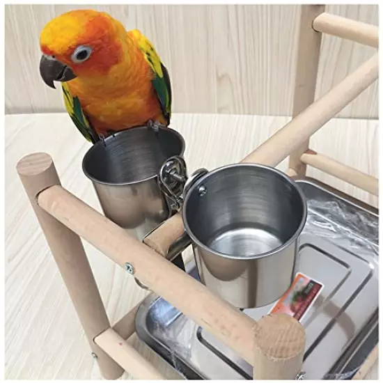 Texsens Bird Feeding Cups - Parrot Food Dish Stainless Steel Parrot Feeders Water Cage Bowls with Clamp Holder for Parakeet African Greys Conure Cockatiels Budgies Chinchilla Small Animal