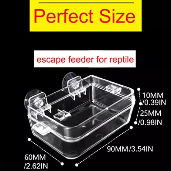 Tfwadmx 2 Pcs Chameleon Bowl, Reptile Feeding Food, Water Dish Gecko Worm Feeder Anti-Escape Chameleon Supplies Accessories For Lizard Bearded Dragon Snakes