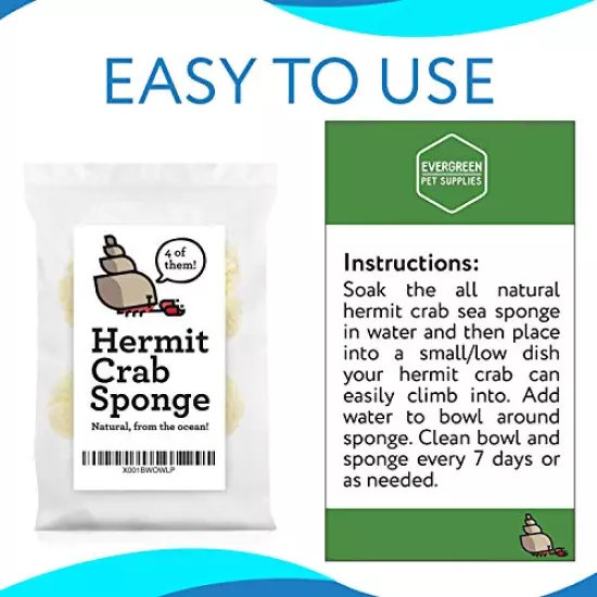 Evergreen Pet Supplies 4-Pack of Natural Hermit Crab Sea Sponges - All Natural Sponge for Crabs - Assists Safer Drinking, Provides Nutrients, Balances Tank Humidity