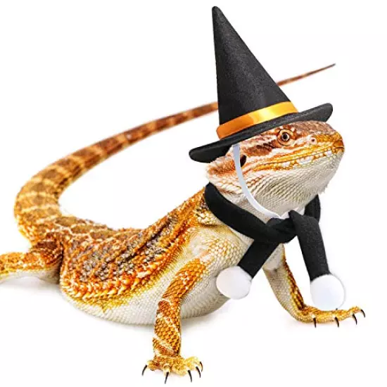 RYPET Bearded Dragon Halloween Costume - Lizard Wizard Hat with Scarf Halloween Costumes Set for Bearded Dragon Halloween Party