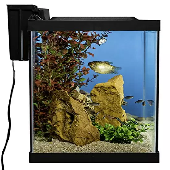 Tetra Aquarium 20 Gallon Fish Tank Kit, Includes LED Lighting and Decor