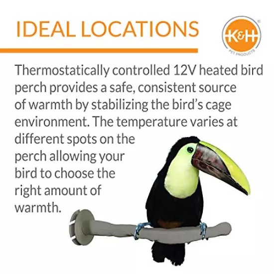 K&H Pet Products Thermo-Perch Heated Bird Perch