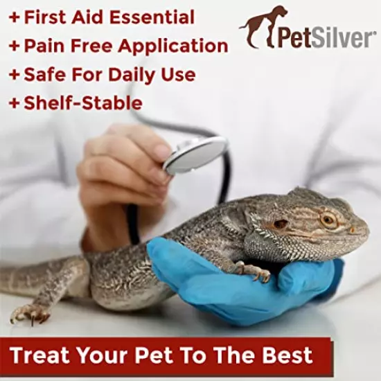 PetSilver Wound Reptile, Snake & Amphibians Formula With Chelated Silver - Made In USA - Vet Formulated - Natural Pain Free Formula - Relief Support For Skin Issues, Sores, Scale Rot 2 Fl Oz