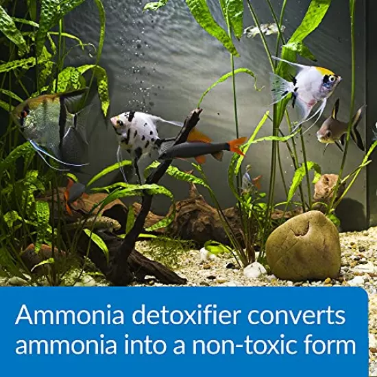 API AMMO-LOCK Ammonia detoxifier, Detoxifies ammonia toxic to fish in aquarium water and tap water, Use when ammonia is detected