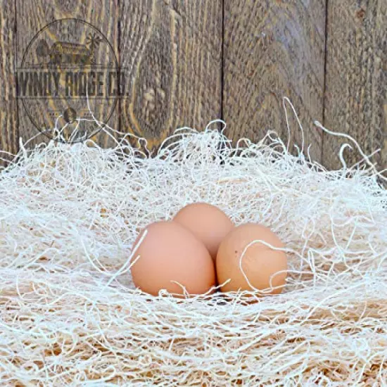 Windy Ridge Co. Natural Chicken Nesting Pads - 10 Pack - Aspen Excelsior Bedding Hen Nest Box Liners - USA Made - 13" x 13"