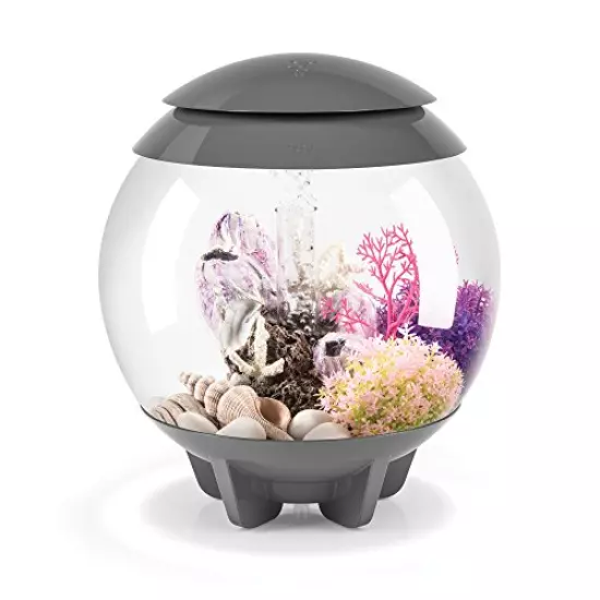 biOrb Halo Aquarium with MCR Lighting