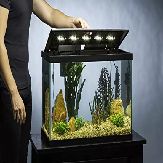 Tetra Aquarium 20 Gallon Fish Tank Kit, Includes LED Lighting and Decor