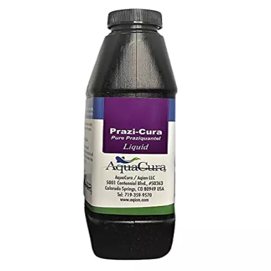 Prazi-Cura Liquid - Safest, Most Effective Parasite Treatment for Koi, and Aquarium Fish! Treats up to 2500 gallons.