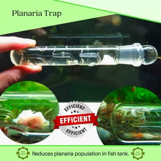 Planaria Trap for Crystal Red Shrimp Tank - Aquarium Bristle Worm Catcher, Cherry Shrimp Dwarf Shrimp Ghost Shrimp Live Freshwater Cleaning Supplies - Clear Glass Leeches Catching Tube