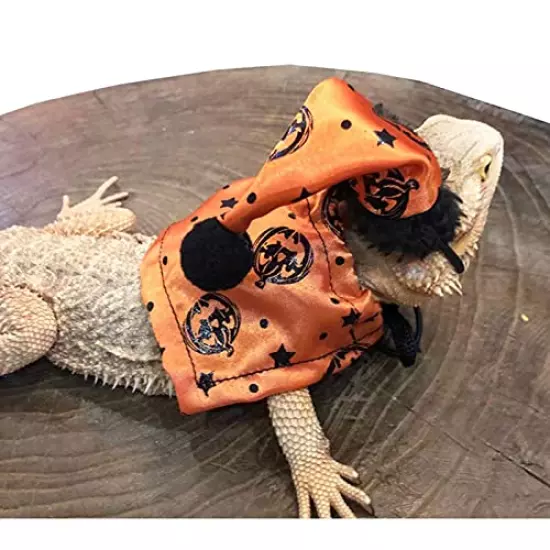 CheeseandU Halloween Bearded Dragon Lizard Cloak Hat Set - Bearded Dragon Clothe Halloween Pumpkin Hat + 1 Pack Halloween Robe Adjustable for Bearded Dragon Lizard Reptile Small Pets Costume Apparel