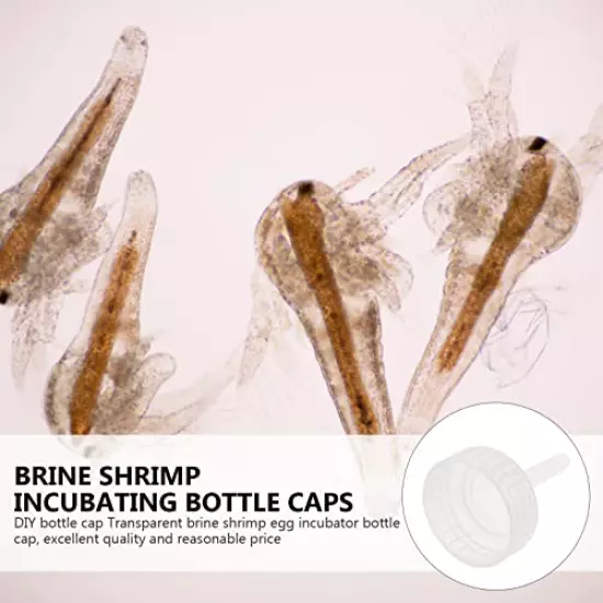 Bottles Brine Shrimp Hatchery Kit: 20 Pcs Shrimp Egg Hatching Bottle Caps Shrimp Hatchery Box Cap Aquarium Brine Shrimp Incubator Bottle Caps