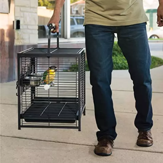 Prevue Pet Products Travel Carrier for Birds, Black