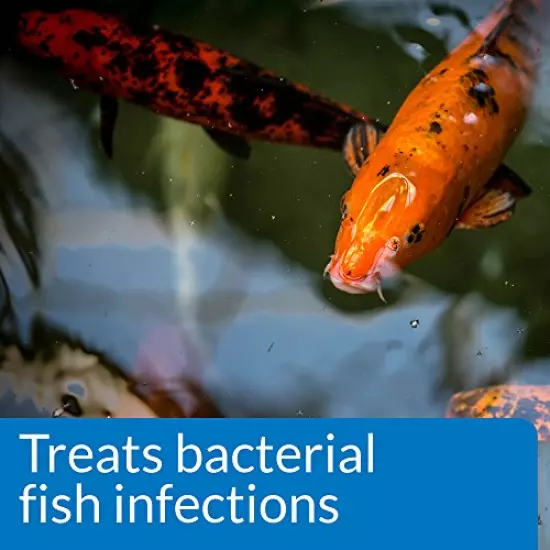 API Pond MELAFIX Pond Fish Bacterial Infection Remedy