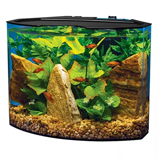 Tetra Aquarium Kit, Fish Tank with Filter & Lights