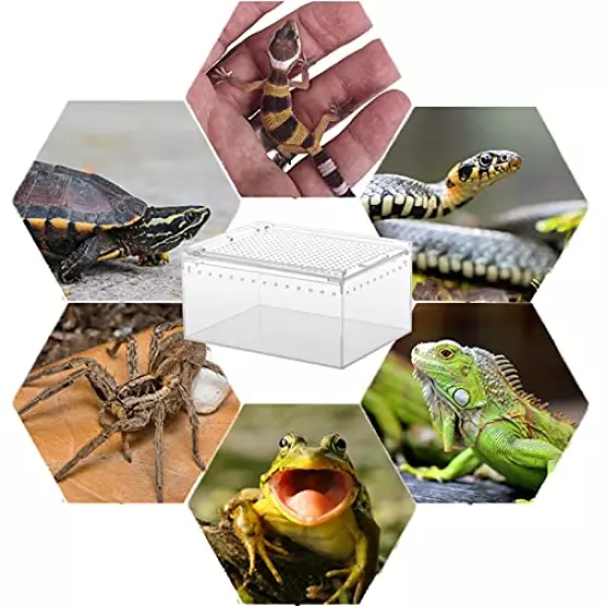 Naysku Reptile Breeding Box, Transparent Reptile Breeding Container, Acrylic Reptile Cage, Sliding Cover Type Feeding Box, Reptile Breeding Tank Habitat Box for Small Animals