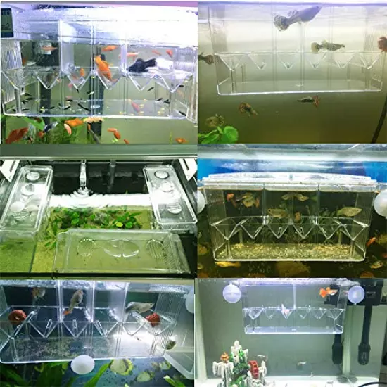 Tfwadmx Fish Breeding Box, Aquarium Breeder Box Fish Baby Hatchery Incubator Isolation with Artificial Plant