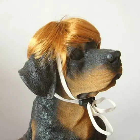 Tangpan Dog Pet High Temperture Wire Wig