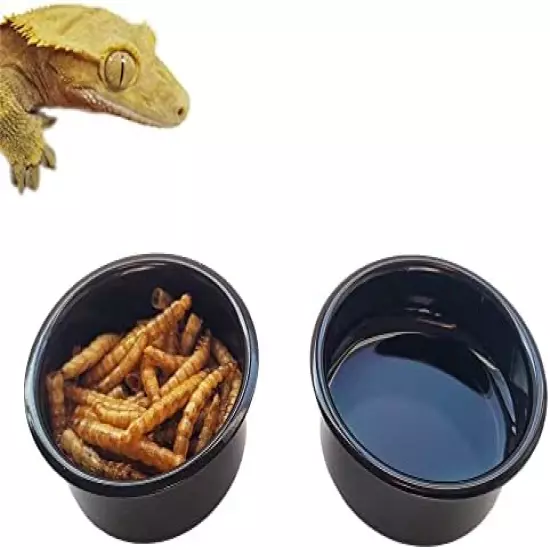 MRTIOO Crested Gecko Food And Water Feeder Cups, Reptile Feeding Bowls, For Lizard And Other Small Pet Ledge Accessories Supplies