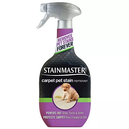 Stainmaster Carpet Pet Stain Remover, 22 Fl Oz (Packaging May Vary)