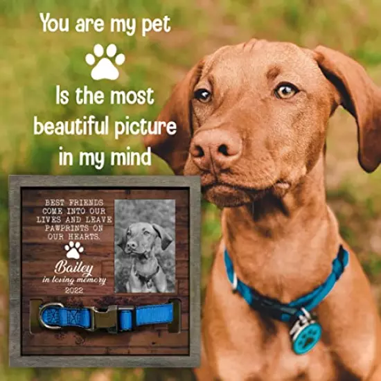 BfiGift Personalized Dog Collar Frame Memorial Pet Loss Sign Dog & Cat Lover Ever Gifts With Heartfelt Sentimental Quote For Someone Who Lost A Pet Collar Keepsake Picture Frame Remembrance Decor