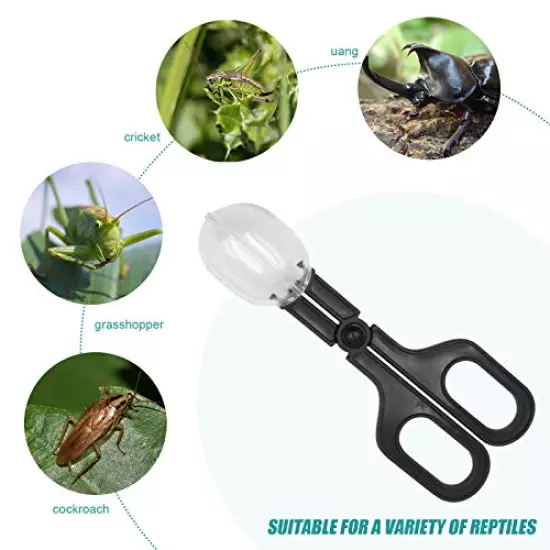 Suruikei 2Pcs Stainless Steel Feeding Tongs, Reptile Feeding Tweezers Long Handle Feeder Tools, Bug Feeding Clamp Cricket Tongs For Fish Aquariums, Reptiles Snakes Lizard Gecko Spider And Bird