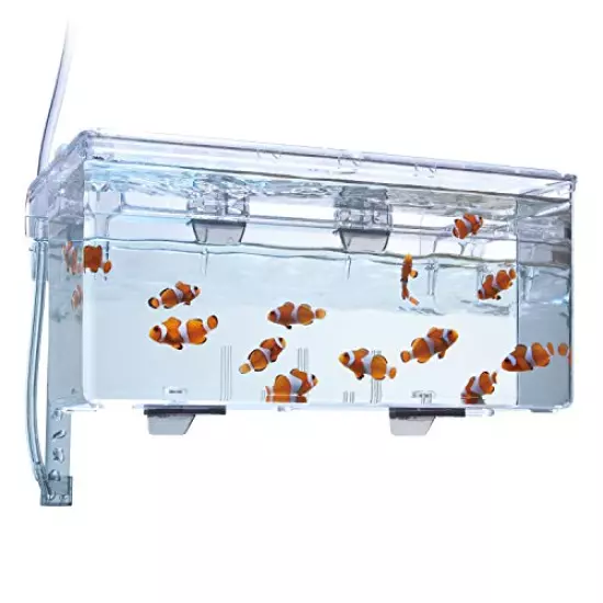 Fluval Multi-Chamber Holding and Breeding Box, Large