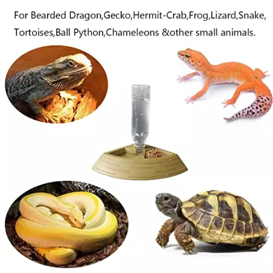 AURTPNUO Reptile Feeder 2in1 Food & Water Feeding Bowls Amphibians Automatic Water Dispenser Terrarium Corner Bowl For Bearded Dragon Gecko Snake Lizard Turtles