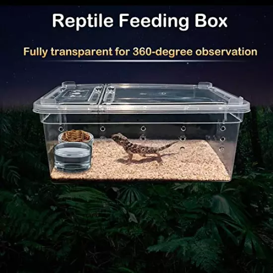 8 Pcs Reptile Feeding Box Snake Plastic Transparent Breeding Box for Bearded Gecko Dragon Lizard Spider Frog Scorpion (2 Pcs Large Size, 6 Pcs Small Size)