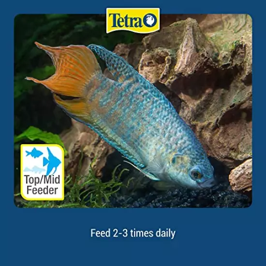 Tetra TetraMin Tropical Flakes 1 Ounce, Nutritionally Balanced Fish Food, Model:77102