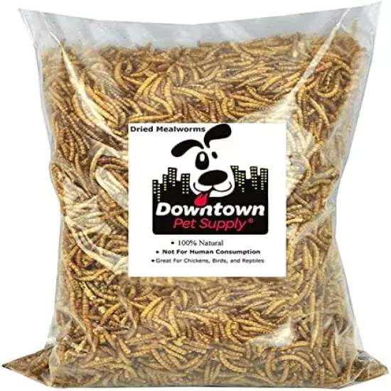 Downtown Pet Supply Dried Mealworms - Rich In Vitamin B12, B5, Protein, Fiber And Omega 3 Fatty Acids - Chicken, Duck And Bird Food - Reptile And Turtle Food