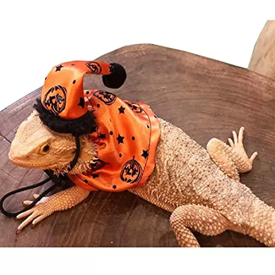 CheeseandU Halloween Bearded Dragon Lizard Cloak Hat Set - Bearded Dragon Clothe Halloween Pumpkin Hat + 1 Pack Halloween Robe Adjustable for Bearded Dragon Lizard Reptile Small Pets Costume Apparel