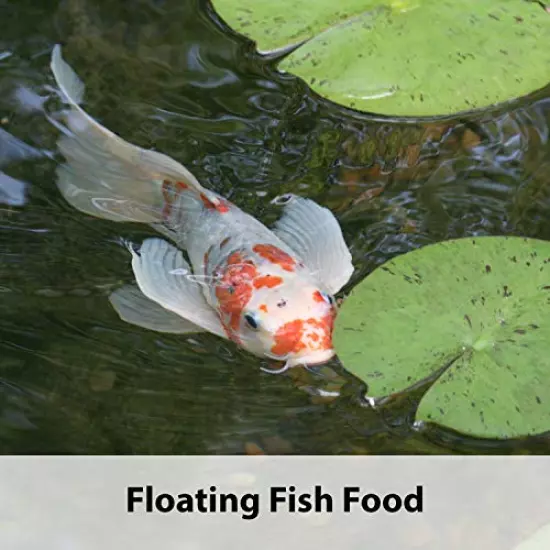 Kaytee Koi's Choice Koi Floating Fish Food