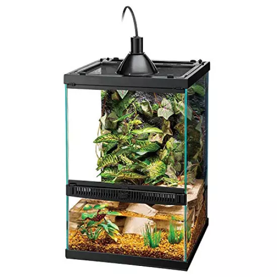 Zilla Tropical Vertical Habitat Starter Kit For Small Tree Dwelling Reptiles & Amphibians Like Geckos And Frogs