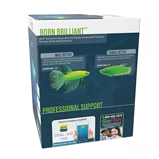 GloFish Aquarium Kit w/Hood, LED Lights and Whisper Filter