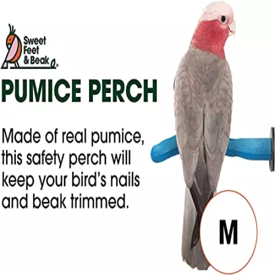 Sweet Feet and Beak Safety Pumice Perch for Birds Features Pumice to Trim Nails and Beak and Promote Healthy Feet - Safe and Non-Toxic, for Bird Cages