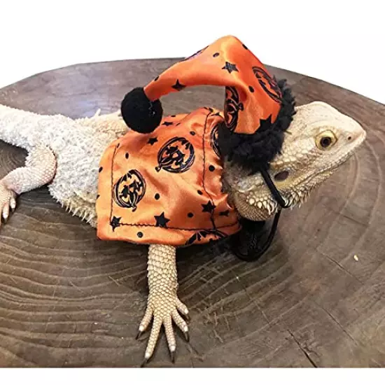 CheeseandU Halloween Bearded Dragon Lizard Cloak Hat Set - Bearded Dragon Clothe Halloween Pumpkin Hat + 1 Pack Halloween Robe Adjustable for Bearded Dragon Lizard Reptile Small Pets Costume Apparel