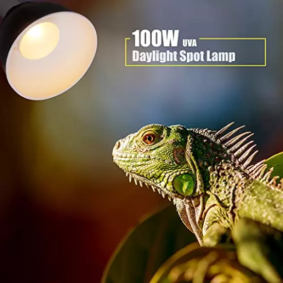 SMART EGG Reptile Heat Lamp Bulb Light, UVA Basking Spot Daylight Heat Lamp 2 Pack For Lizard Tortoise Bearded Dragon Hedgehogs Amphibians Ceramic Heat Bulb