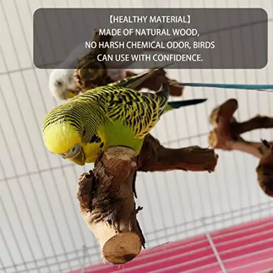 Bird Perch Stand Toy Set Natural Wooden Parrot Stand Branch Paw Grinding Stick Bird Exercise Training Climbing Toys for Bird Cage Accessories